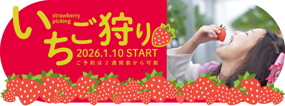 いちご狩りの予約はこちら
